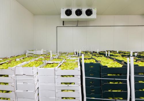 TONMAT GROUP CUNG CẤP DỊCH VỤ KHO LẠNH